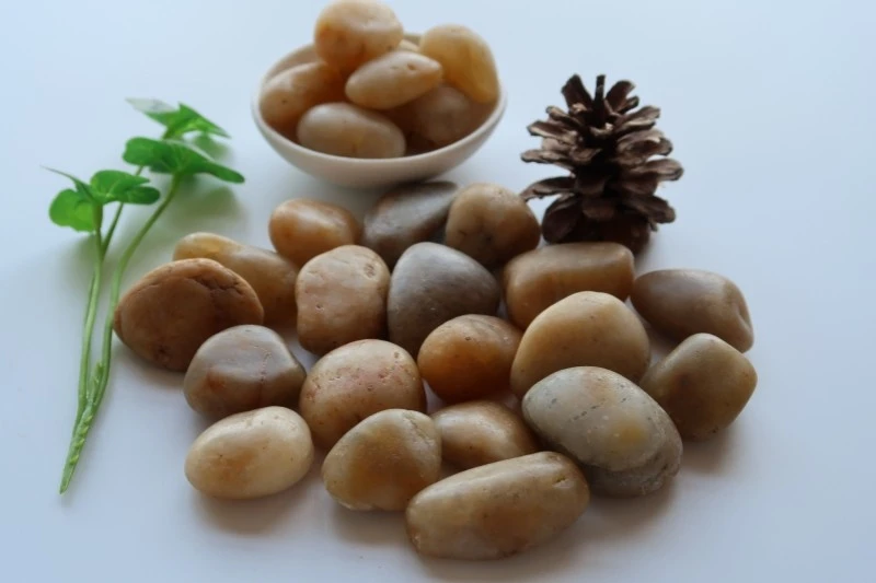 Backyard Pebble Stones price