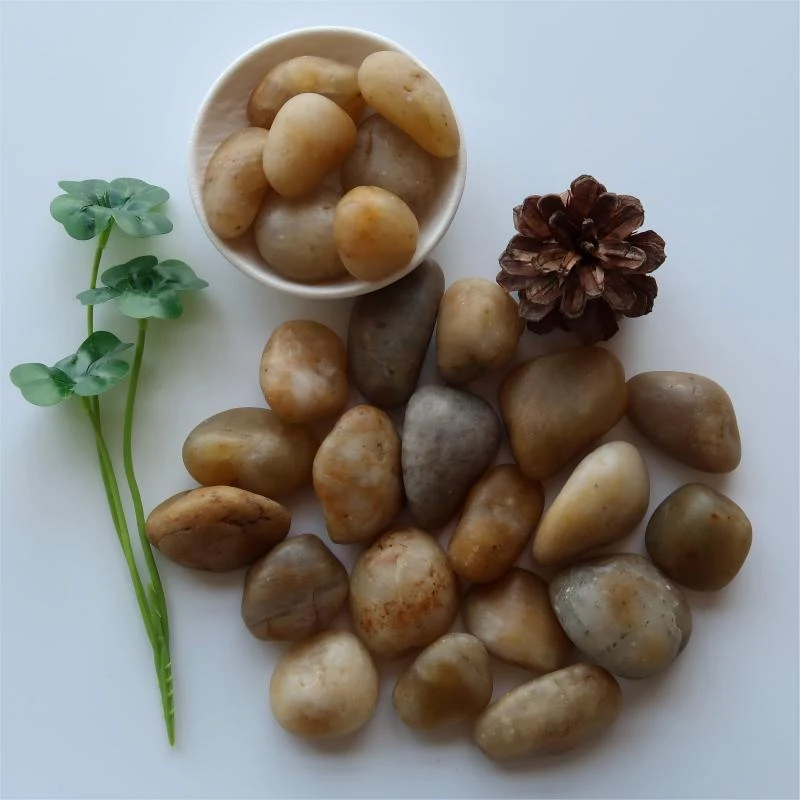 Pebble Stones u dvorištu