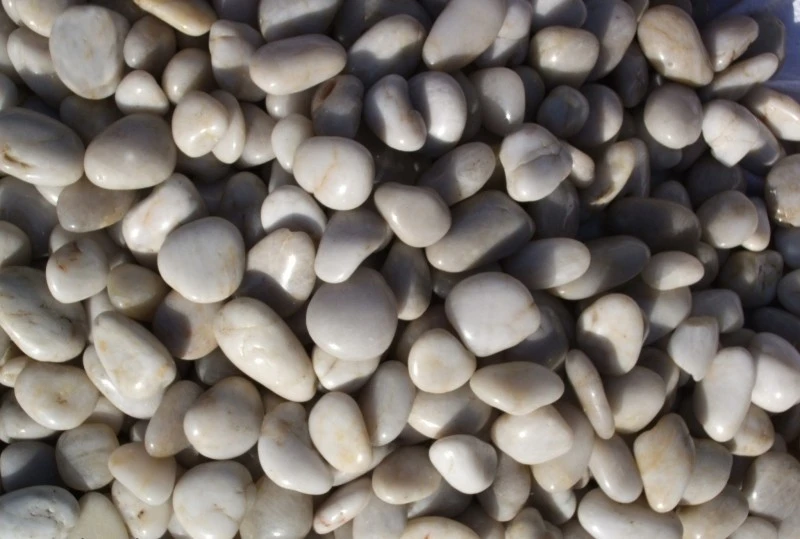 Landscaping Pebble Stones suppliers