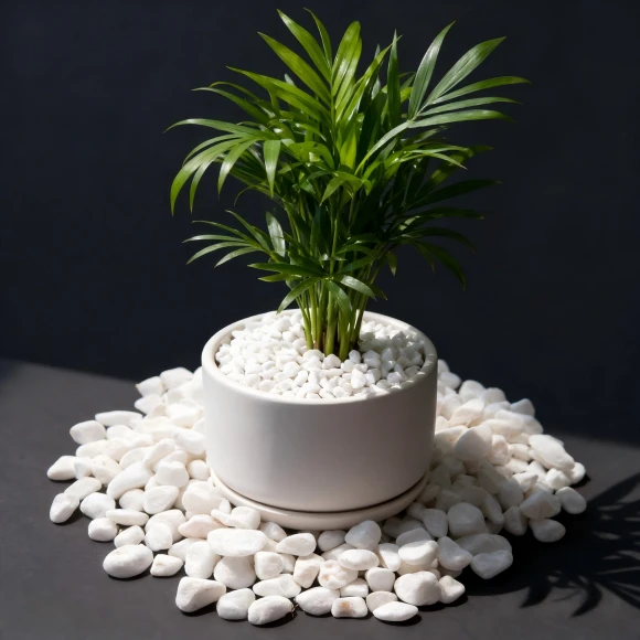 product-580-580